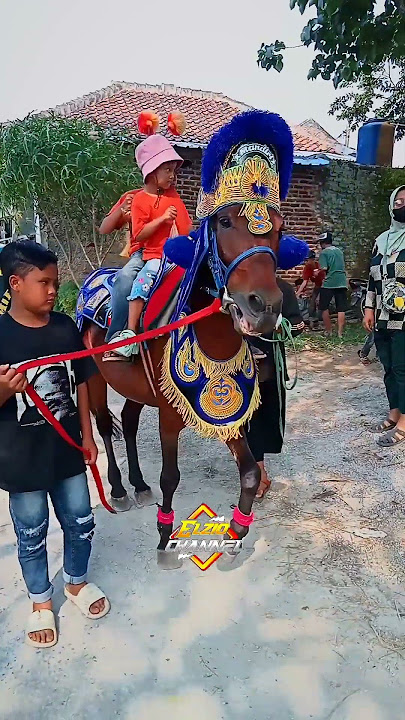 independent renggong horse shaking #shorts #renggonghorse #sumedanghorse