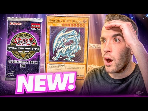 ERROR Opening INSANE