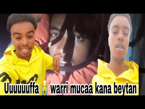 Uuuuuuffa Mucan Kun Rakko Hamtu Kessa Jira Dirmadhaf Yaa Oromo Too