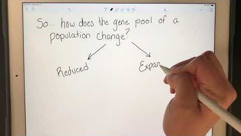 Genetic Variation and the Gene Pool