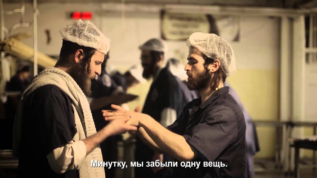 История мацы video editing software free