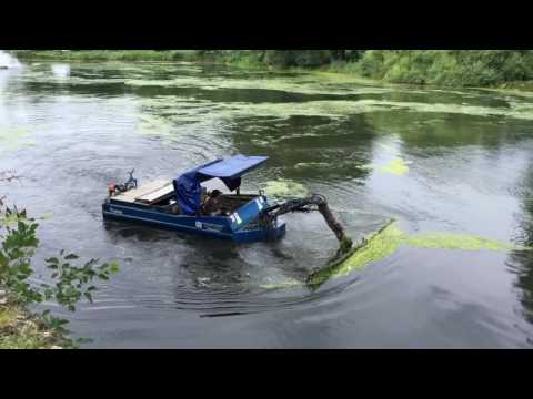 Video: Was ist Elodea Waterweed: Bekämpfung von Elodea-Pflanzen in Teichen