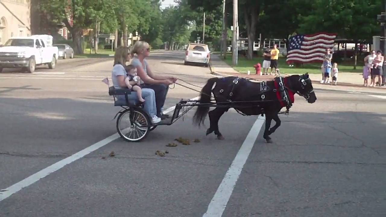 Pony Cart Memorial Day Parade Jonesville Michigan.MP4 YouTube