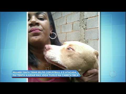 Mulher tenta tirar selfie com pit bull e é atacada