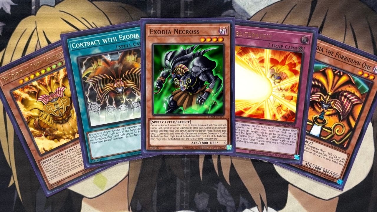 My Exodia Necross Yugioh Deck Profile for January 2026 My Exodia Necross Yugioh Deck Profile for January 2026