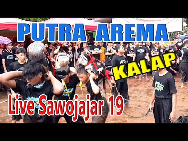 BANTENGAN PUTRA AREMA FULL KALAP LIVE SAWOJAJAR GANG 19 MALANG (Part 3) class=