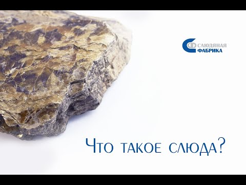 Бейне: Слюда табақшасы микротолқынды пеште өртенді: не істеу керек?