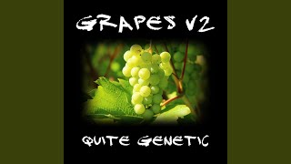 Video thumbnail of "Quite Genetic - Grapes V2"