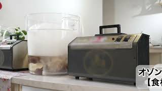 ソレイユ オゾン発生器 はるこころオンラインショップ / はるこころ ロゾンピュール ソレイユ
