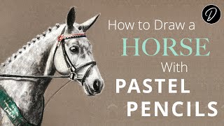 How to Draw A Horse's Portrait with Pastel Pencils