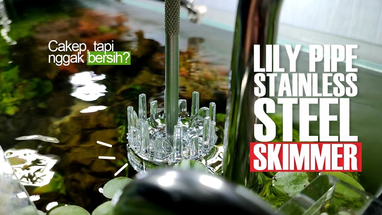 Review Lily Pipe Stainless Steel Skimmer WYIN. Yakin Bagus?