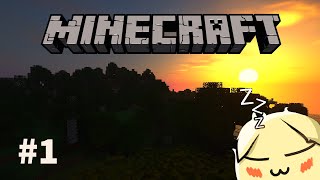 ASMR [Soft Spoken] | Minecraft Hardcore #1 Hallo! [Deutsch]