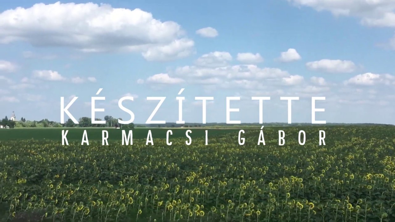 Mézpergetés // Napraforgóméz pergetése Hencidán