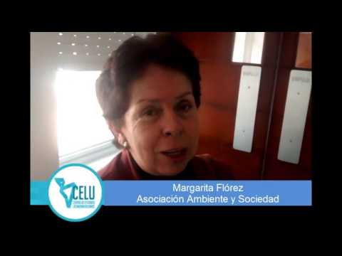 Margarita Flórez: Conversatorio Financiación para el desarrollo