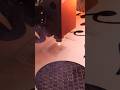 Easy Laser Cut Projects One Laser XRF