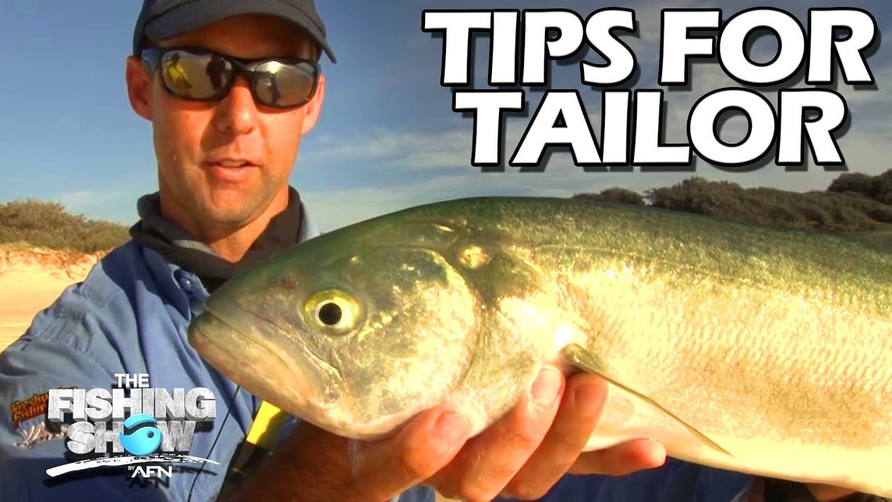 Surf Fishing Fraser Island YouTube