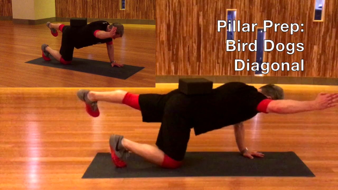 Pillar Prep - Bird Dog Progression - Sagittal - Diagonal - Lateral exercise 14.1 class 11