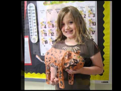 second grade animal projects youtube
