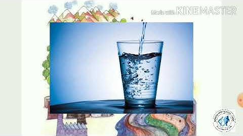 Std 4 EVS ch.13 River