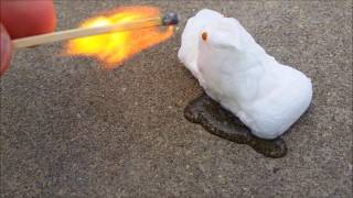 PEEP WAR!!!