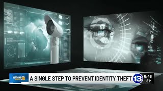 Watching Your Wallet: A Single Step to Prevent Identity Theft