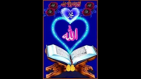 سورة الهمزة الشيخ ممدوح عبداللاه الهاشمي