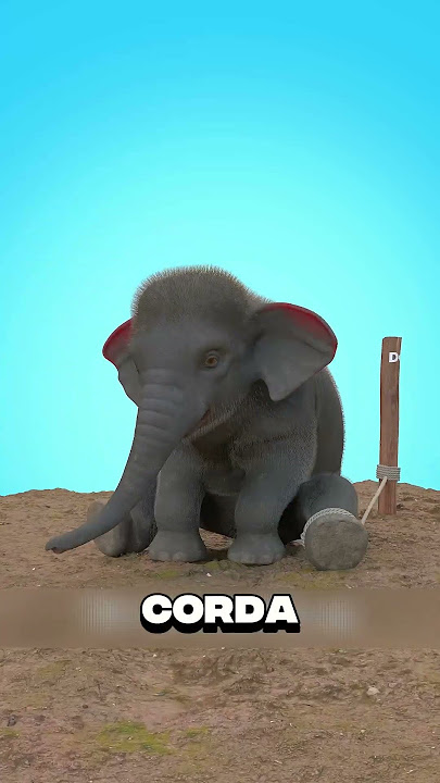 NUNCA FAÇA ISSO COM UM ELEFANTE! #tiktok #memes #parkour