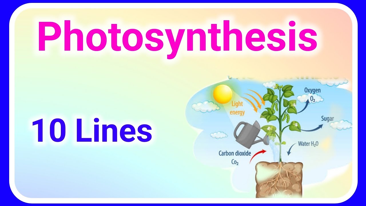 short essay on photosynthesis