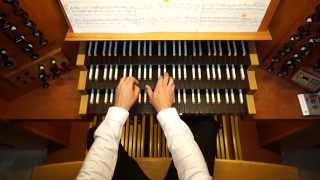 J. Pachelbel: Praeludium in D minor. Arturo Barba, organ. Concatedral de Castellon