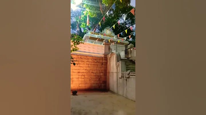 Buddhist pilgrimage sacred jaya siri ma bodhi tree at Anuradhapura in Sri Lanka #shorts - DayDayNews