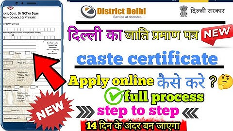 Delhi caste certificate apply online 2025||How to apply caste certificate apply||Caste certificate||
