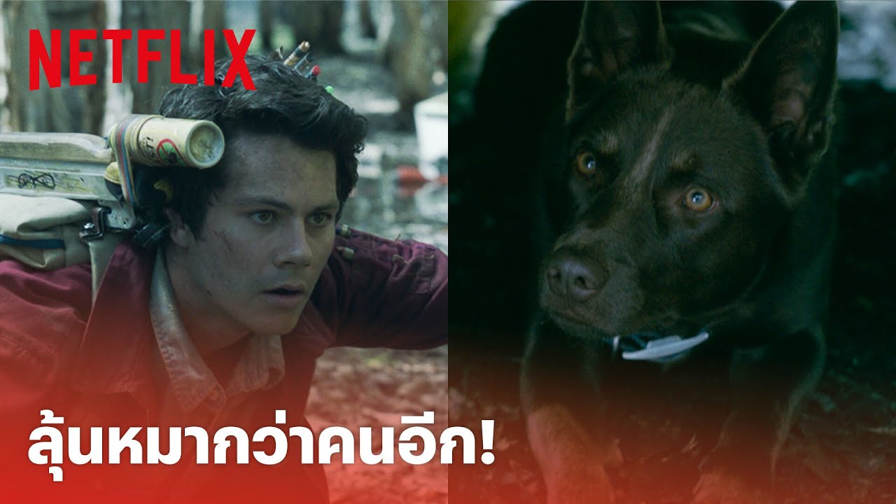 Love and Monsters Highlight - คนไม่ห่วง แต่หมาห้ามตาย! 'ดีแลน โอไบรอัน' ออกโรงช่วยน้องหมา | Netflix