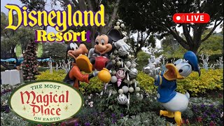 DISNEY Disneyland Resort Holiday Fun Merch Monday Sights and Sounds ASMR #livestream