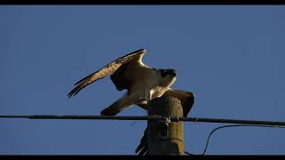 Osprey R5 testing