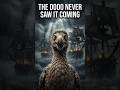 The Bird That Forgot Fear | The Dodo’s Tragic End. #dodo #extinction #history #nature #wildlife