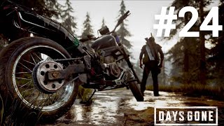 Days Gone прохождение #24