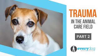 Tips for Dealing With Trauma in the Animal Care Field (Part 2)