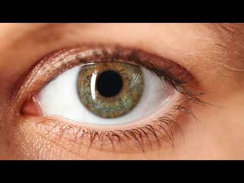 Video: La Identificación Del Iris Se Volverá Omnipresente