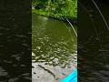 Bass Fishing On The KAYAK