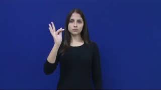 Breve - Emsk Libras 109