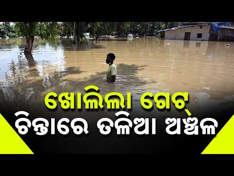 Dam Gate Opened | Low-Lying Areas Face Flood Risk, Residents Evacuated In Nabarangpur