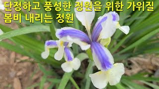 단정하고 풍성한 정원을 위한 가위질, 봄비 내리는 정원 Scissors for a neat and abundant garden, a garden with spring rain.