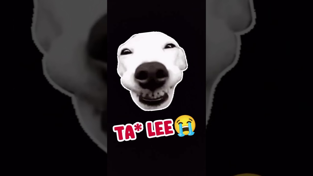 Fullnya🤣😭#fypシ #berandayoutube 