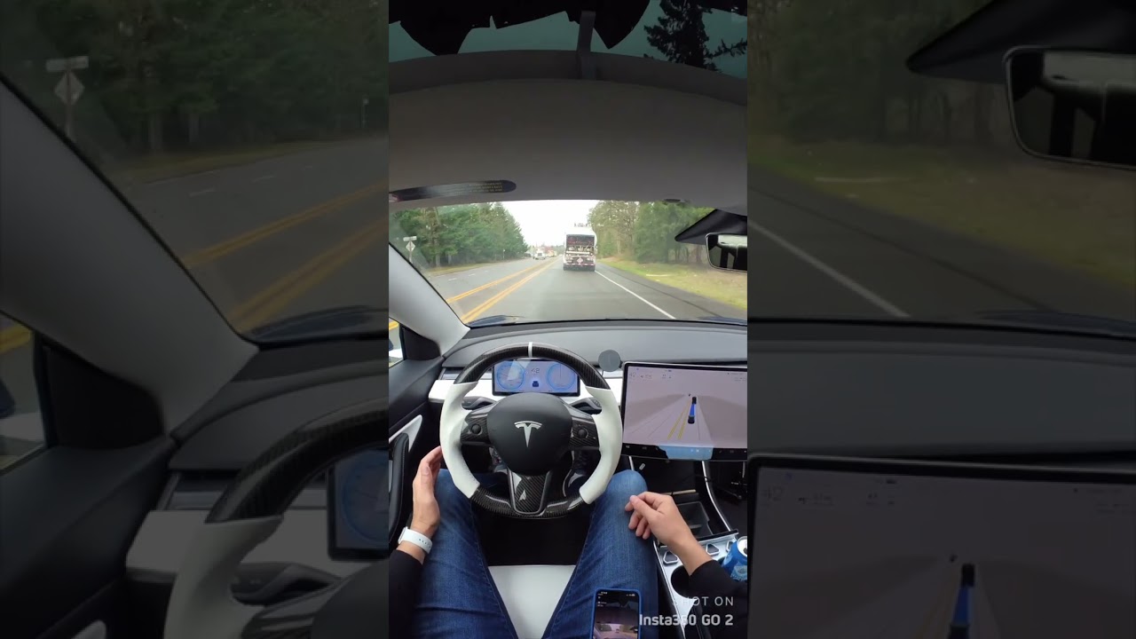 Tesla Model 3/Y: Lenkrad-Gegengewicht, Autopilot-Buddy - Torque Alliance