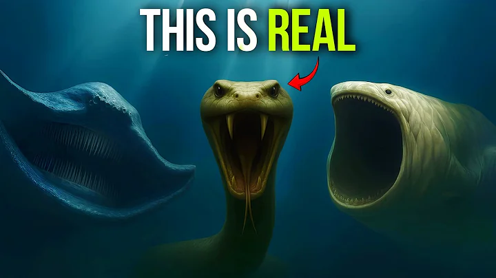 12 Mythical Sea Creatures That Really Existed