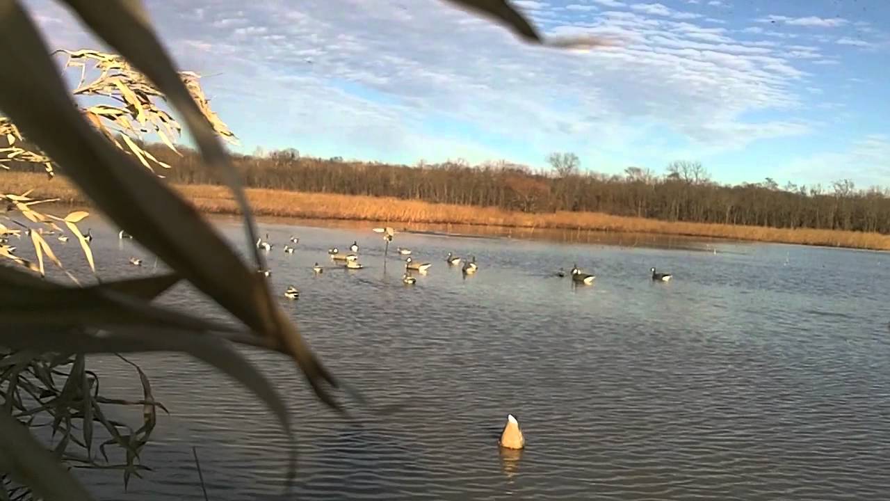 Bc Wetlands 1-3-2013