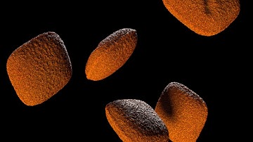 MODO 10.2: 3D Charcoal Procedural Modeling, Auto-Retopology and Digital Sculpting Test