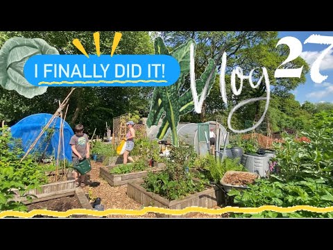 VLOG 27- PLANTING up the BRASSICA CAGE…at last! 🤪🌱 - YouTube