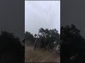 p.c.c pole#triple pole structure#a.c.s.r#conductor#shorts#youtubeshorts #11kv