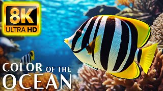 Colors Of The Ocean 8K Video ULTRA HD - The best sea animals for relaxing and soothing music #24